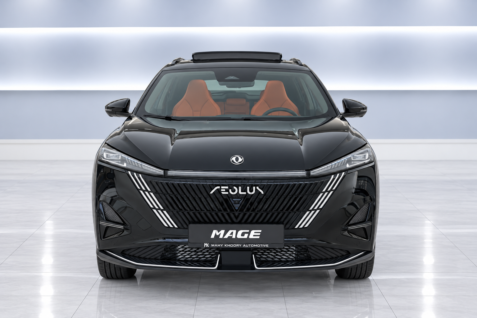 Dongfeng Mage photo 3